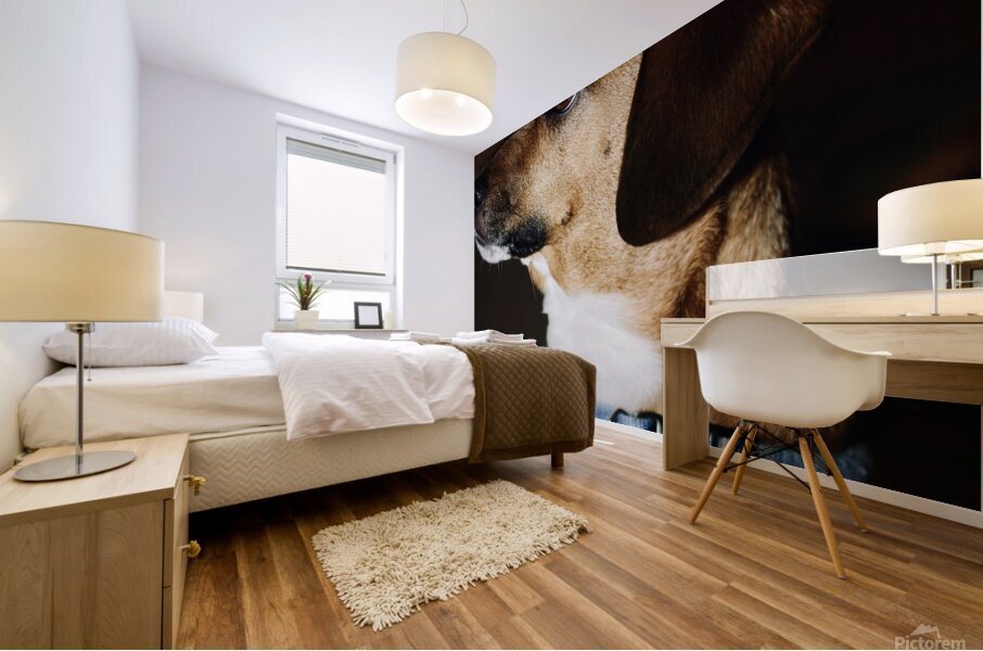 Beagle Profile Mural print