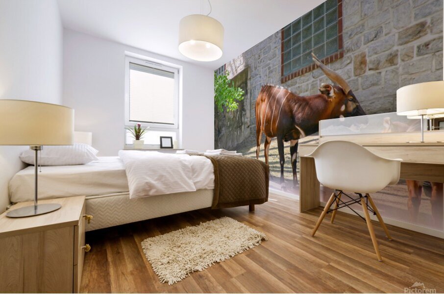 African antelope Mural print