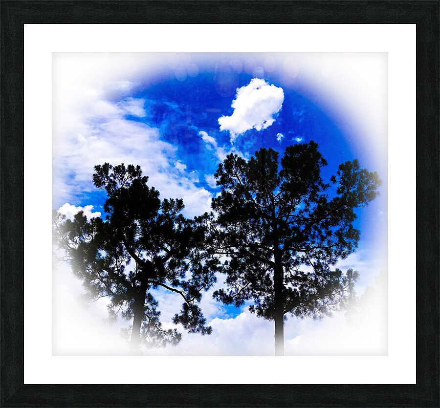Sky Globe  Picture Frame print