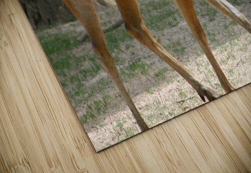 Deer SgtPro puzzle