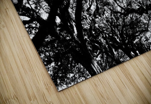 Tree branches at dusk SgtPro puzzle