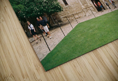 The Alamo SgtPro puzzle