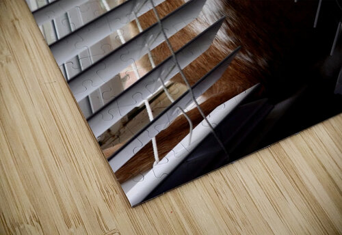 Cat in Blinds SgtPro puzzle