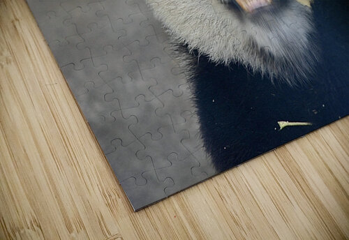 Panda eating stalk SgtPro puzzle