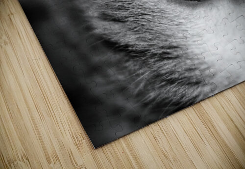 Cat’s eye SgtPro puzzle