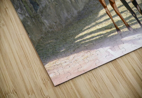 African antelope SgtPro puzzle