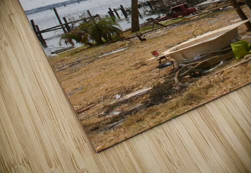 Tree after hurricane  SgtPro puzzle