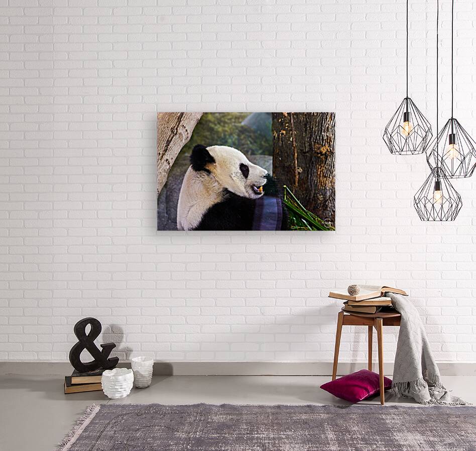 Panda Profile Reproduction