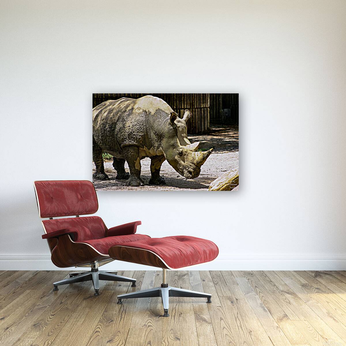 Rhinoceros Reproduction