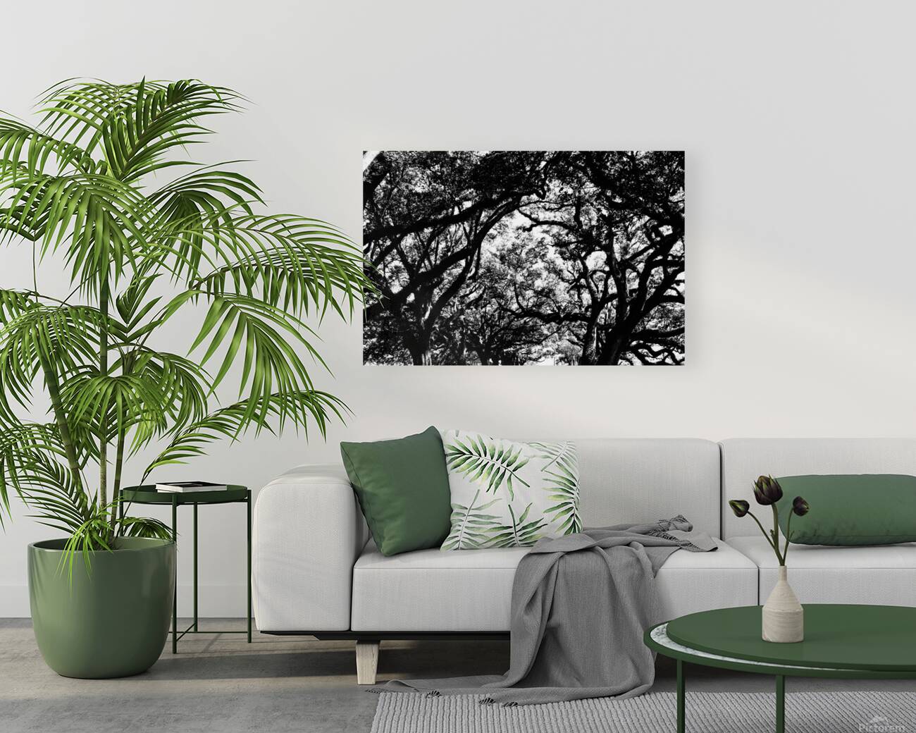 Tree branches at dusk Reproduction