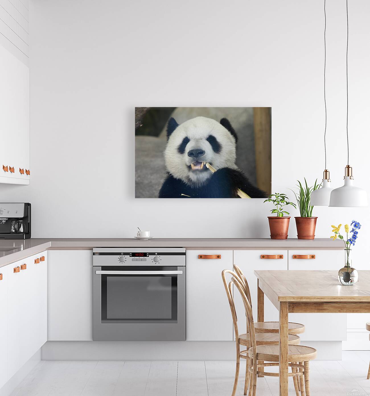 Panda eating stalk Reproduction