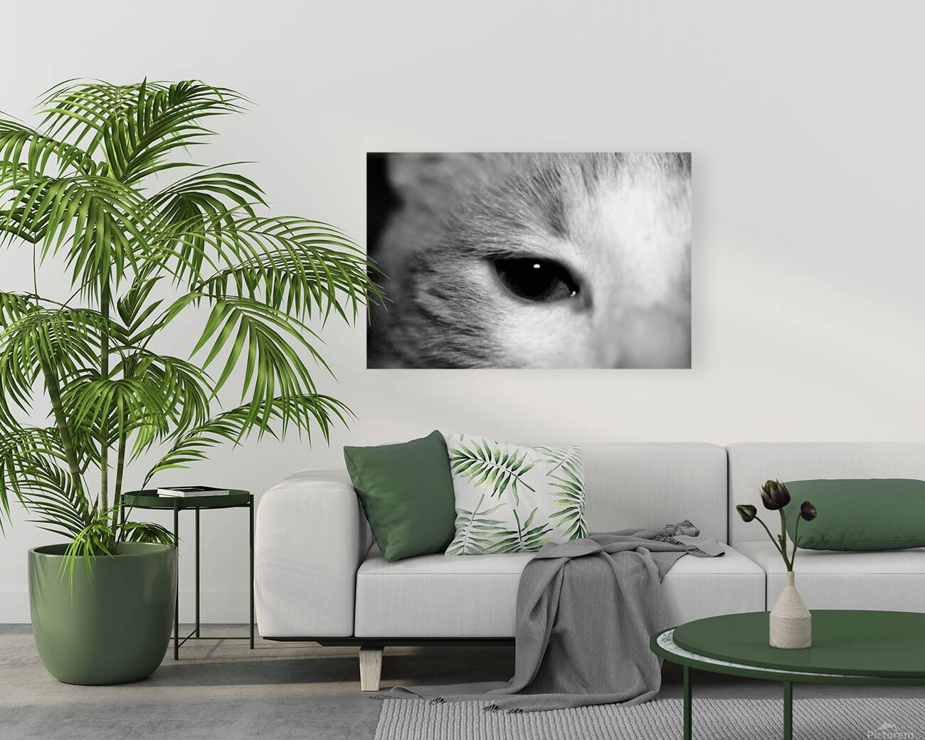 Cat’s eye Reproduction