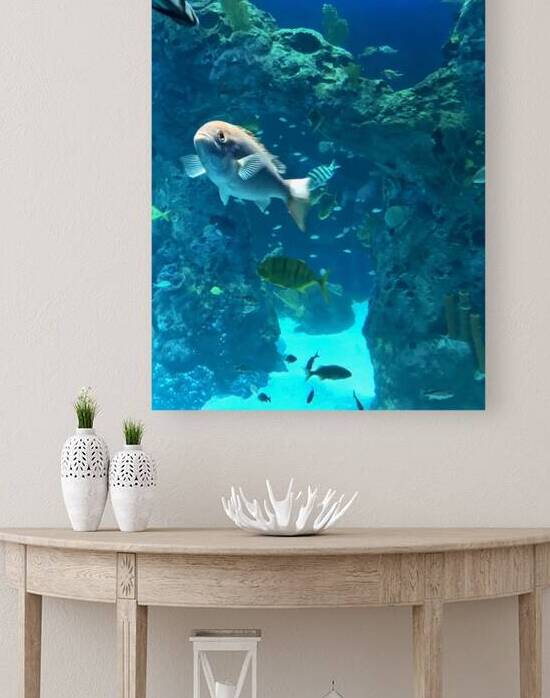 Fish in tank by SgtPro