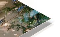 Sunlit Palm Tree HD Metal print