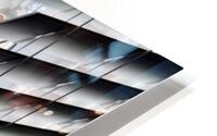Cat in Blinds HD Metal print