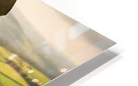 Saint Patrick AI HD Metal print