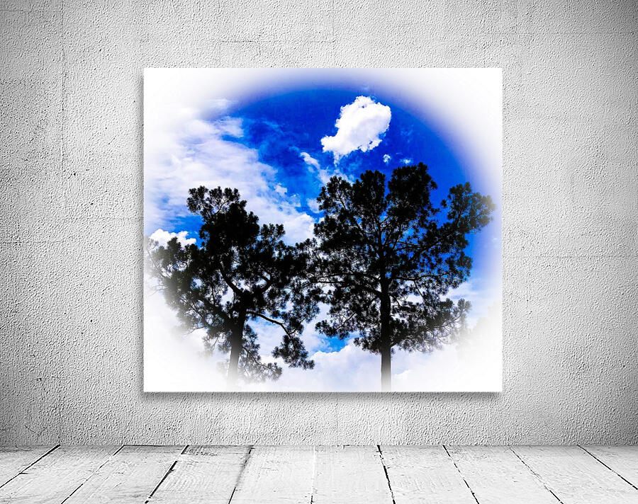 Sky Globe  Wall Preview