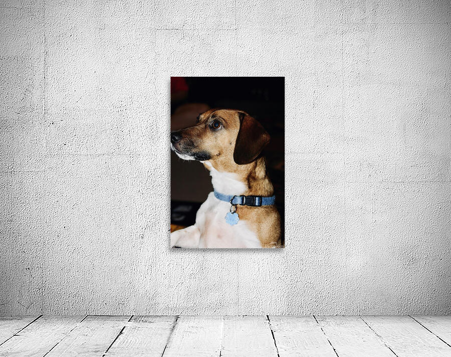 Beagle Profile Wall Preview