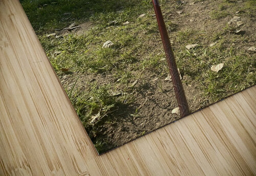 A day on the lake  Amber McElroy puzzle