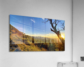 Shenandoah Sunset Behind Tree Acrylic Print