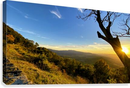 Shenandoah Sunset Behind Tree Canvas Print