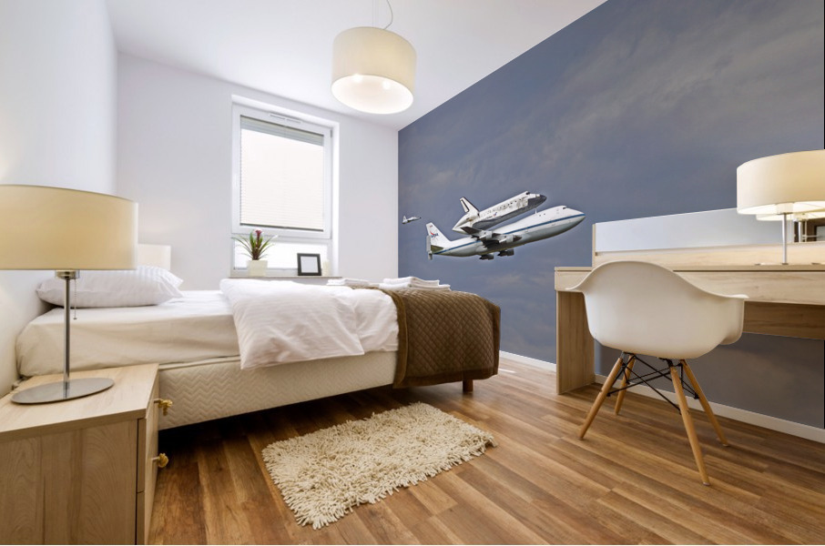 Discovery Final Flight Mural print
