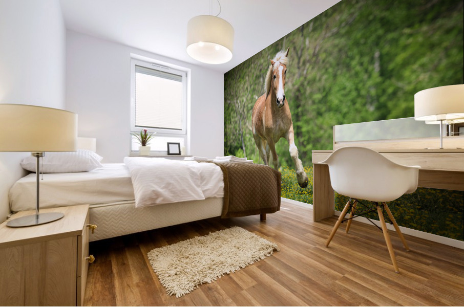 Horses088 Mural print