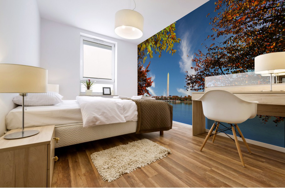 Washington Monument Mural print