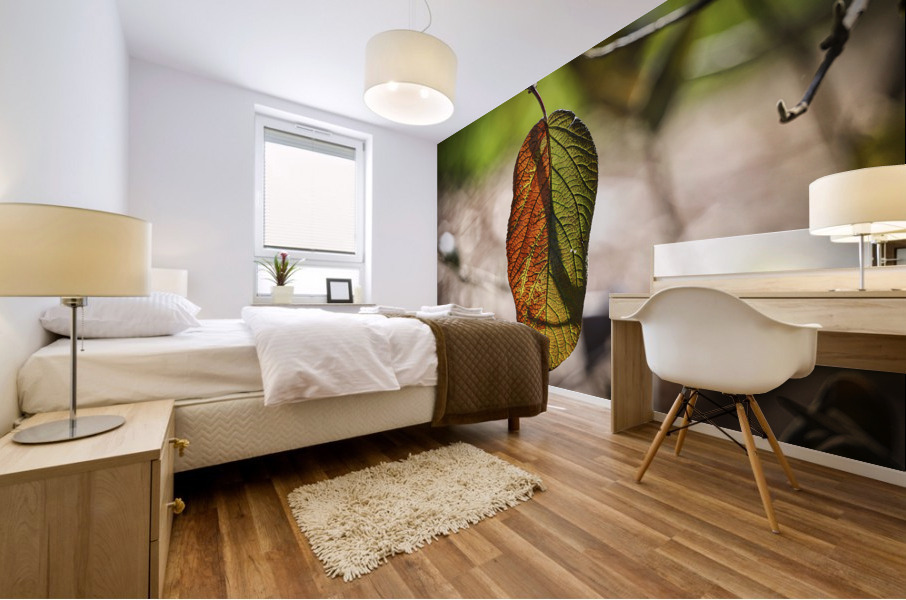 Fall Leaf Sun Backlit Mural print
