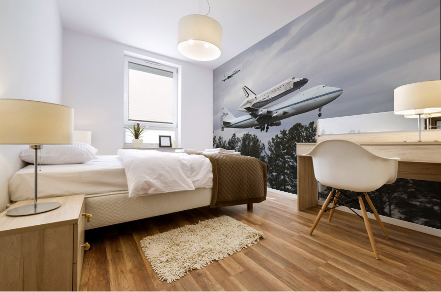 Discovery Final Flight Mural print