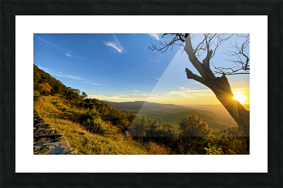Shenandoah Sunset Behind Tree Picture Frame print