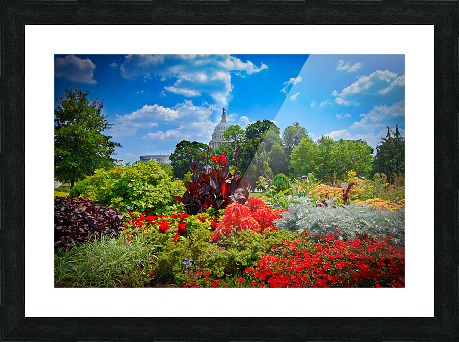Botanical Garden Picture Frame print
