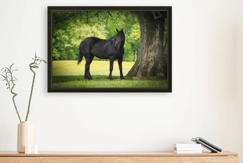 Horses at Enterprise034 by Ronald Gilbert Baker