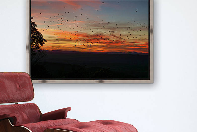 Shenandoah Sunset and Birds by Ronald Gilbert Baker