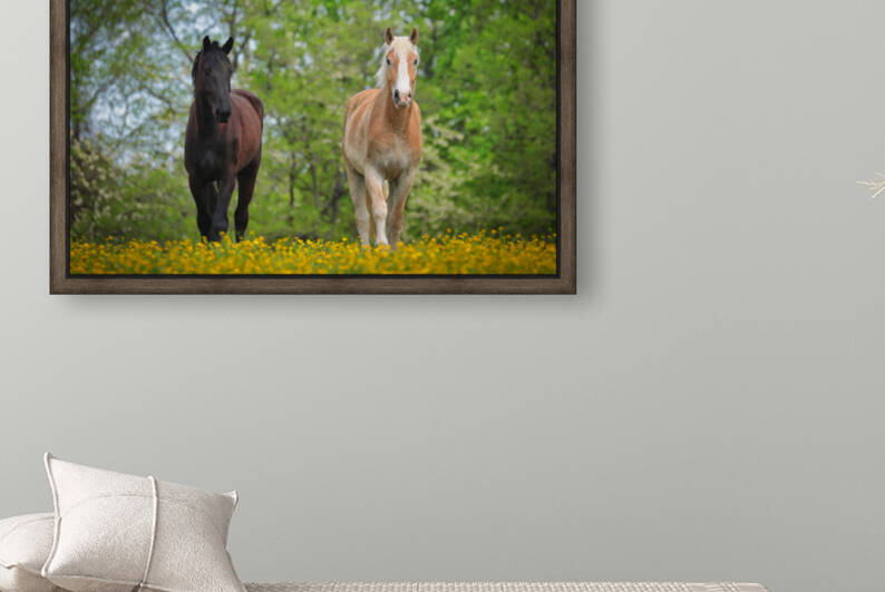 Horses at Enterprise031 by Ronald Gilbert Baker