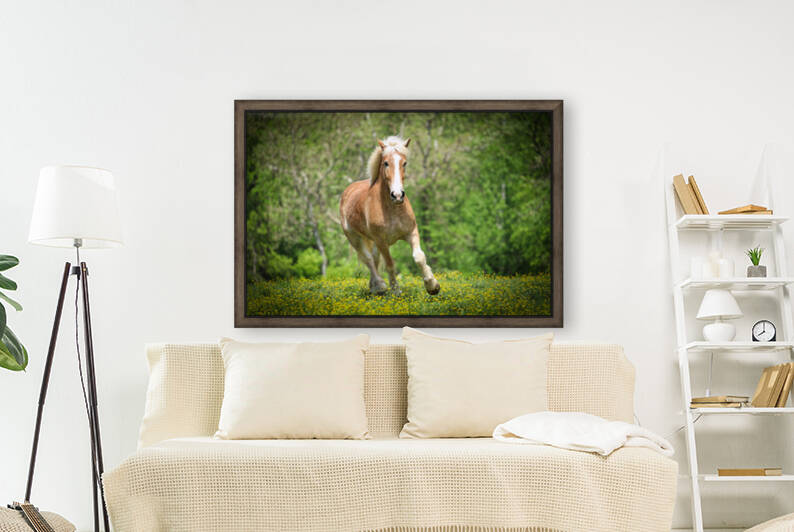 Horses088 by Ronald Gilbert Baker