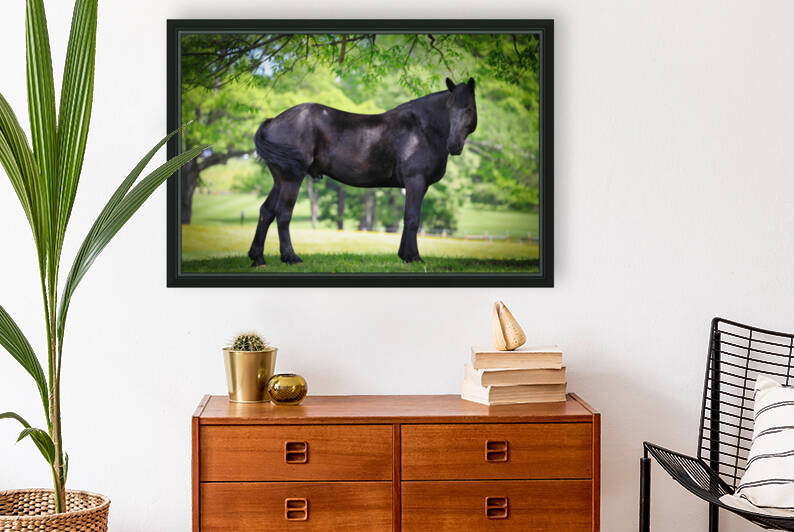 Horses at Enterprise029 by Ronald Gilbert Baker