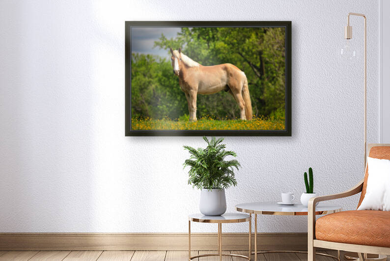 Horses at Enterprise067 by Ronald Gilbert Baker