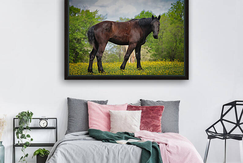 Horses at Enterprise046 by Ronald Gilbert Baker
