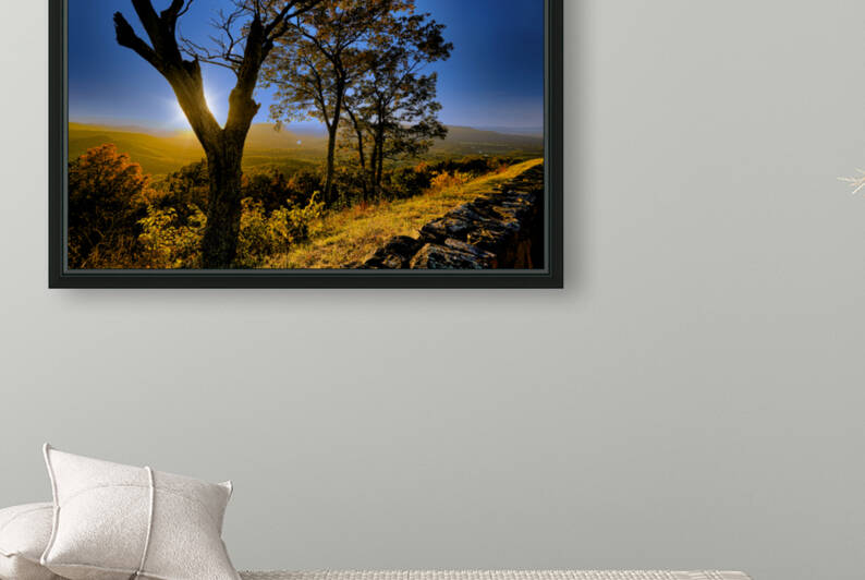 Shenandoah Sunset Behind The Tree by Ronald Gilbert Baker