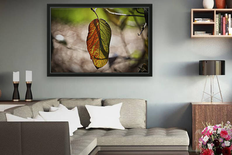 Fall Leaf Sun Backlit by Ronald Gilbert Baker