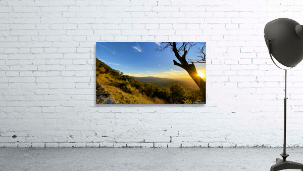 Shenandoah Sunset Behind Tree Wall Preview
