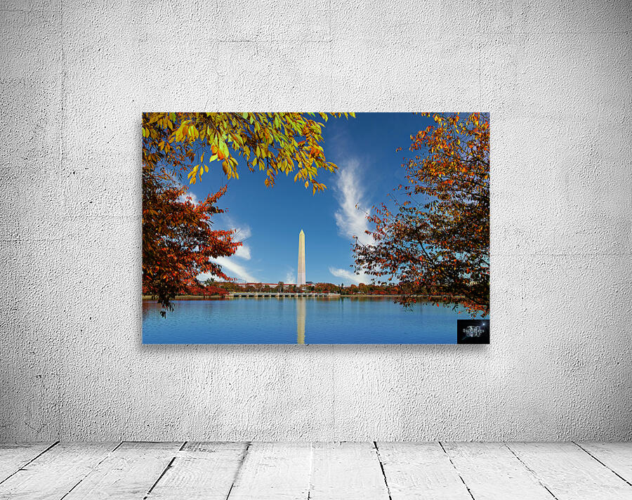 Washington Monument Wall Preview