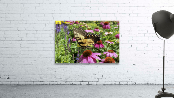 Yellow Butterfly Wall Preview