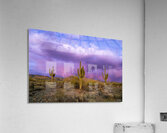 April Showers Acrylic Print
