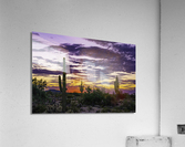 Under the Setting Fire Acrylic Print