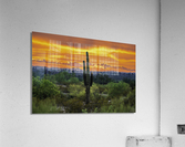 Fire Behind the Cactus Acrylic Print