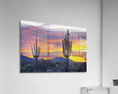 Pink Bliss Acrylic Print