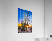 Tangled Sunset Acrylic Print