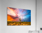 Fire and Ice Acrylic Print